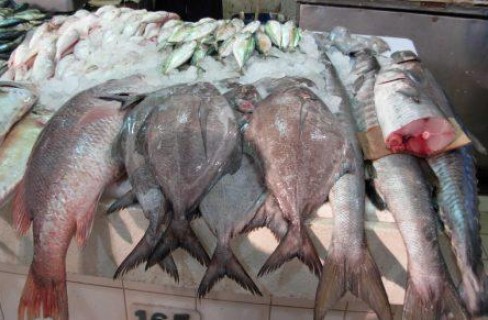 Bloccate le importazioni di pesce dallo Sri Lanka
