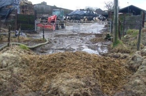 Agricoltura e inquinamento, accordo salva-stalle