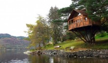 Un albero come biblioteca