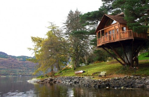 Un albero come biblioteca