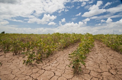 Il clima che corre