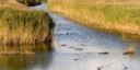 Una giornata per celebrare le zone umide: laghi, foci, lagune