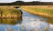 Una giornata per celebrare le zone umide: laghi, foci, lagune