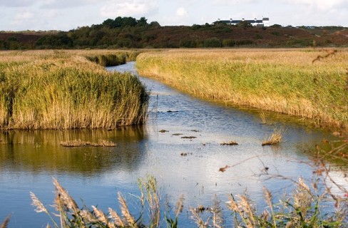 Una giornata per celebrare le zone umide: laghi, foci, lagune