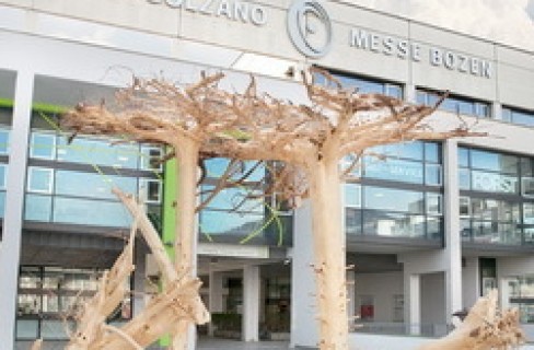 Klimahouse 2015: un albero per il futuro