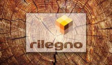 Legno e Rilegno: la campagna sul riciclo e il riuso creativo del legno