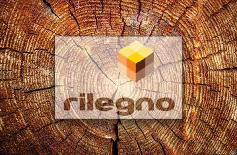 Legno e Rilegno: la campagna sul riciclo e il riuso creativo del legno