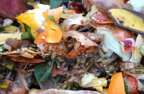 Compost: 8 cose da sapere per produrre un concime di qualità per il tuo orto