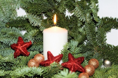10 Cose Green Da Sapere Sul Tuo Albero Di Natale