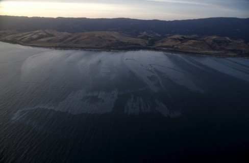 Nasce Marine un patto tra istituzioni, ricerca e imprese sul futuro del mare