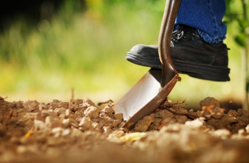 Fieragricola, agroenergie alla ribalta con il biometano