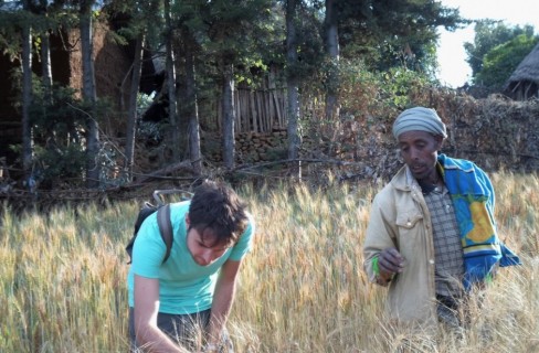 Il grano etiope salverà l’Europa dagli effetti del climate change