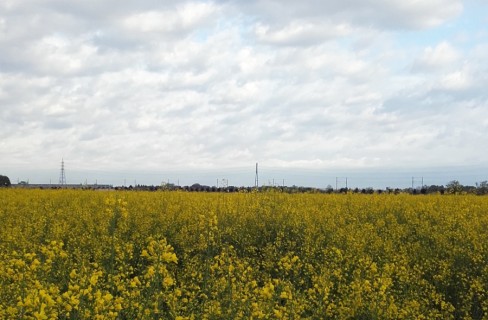 Bioenergie, il settore raddoppia