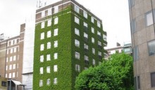 «Certificare green un edificio è una risorsa»