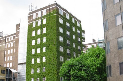 «Certificare green un edificio è una risorsa»