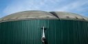 Decreto rinnovabili, la firma libera nuove possibilità per biogas e stalle italiane