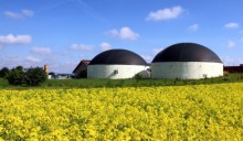 Biogas ai nastri di partenza