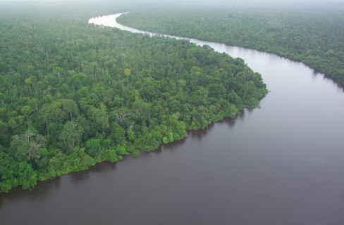 Servizi Ecosistemici: di cosa si tratta?