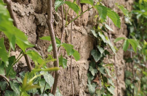 Il mattone “verde” piace