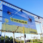 Banner Action Against Bayer Pesticide in PollenBienen Banner gegen Bayer Pestizide in Pollen